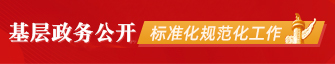 基層政務(wù)公開標(biāo)準(zhǔn)化規(guī)范化