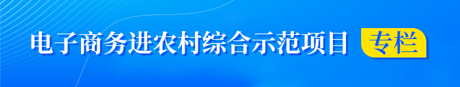 電子商務(wù)進農(nóng)村綜合示范項目專欄