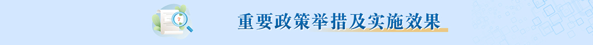 重要政策舉措及實(shí)施效果
