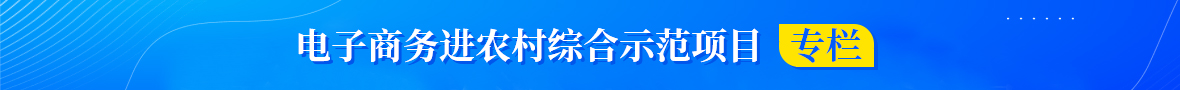 電子商務(wù)進(jìn)農(nóng)村綜合示范項(xiàng)目專(zhuān)欄